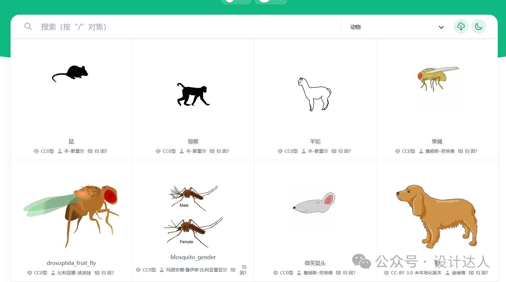 图片