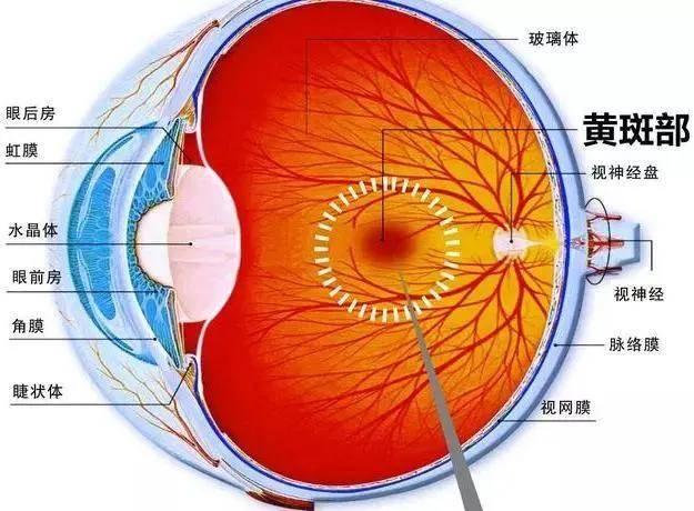 用色如用兵：色彩的故事